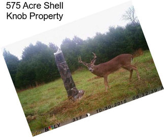 575 Acre Shell Knob Property