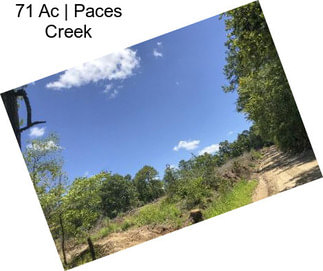 71 Ac | Paces Creek