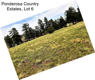 Ponderosa Country Estates, Lot 6