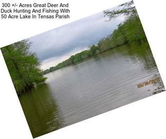 300 +/- Acres Great Deer And Duck Hunting And Fishing With 50 Acre Lake In Tensas Parish