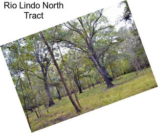 Rio Lindo North Tract