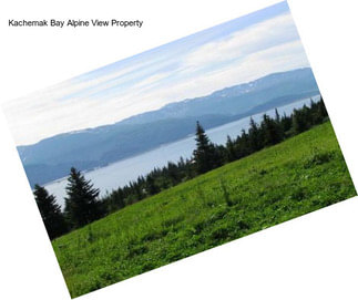 Kachemak Bay Alpine View Property