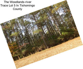 The Woodlands-river Trace Lot 5 In Tishomingo County