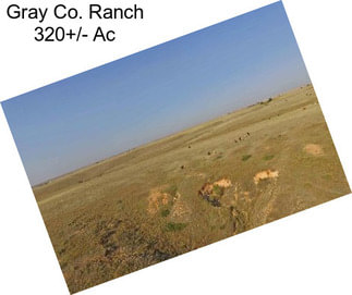 Gray Co. Ranch 320+/- Ac
