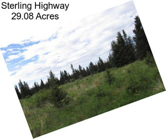 Sterling Highway 29.08 Acres
