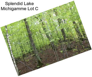 Splendid Lake Michigamme Lot C