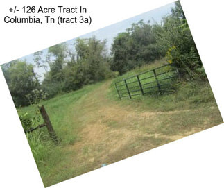 +/- 126 Acre Tract In Columbia, Tn (tract 3a)