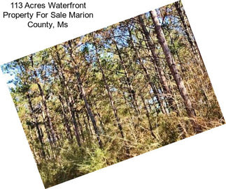 113 Acres Waterfront Property For Sale Marion County, Ms