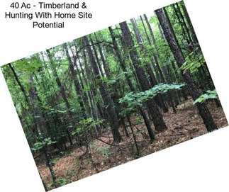 40 Ac - Timberland & Hunting With Home Site Potential