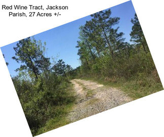 Red Wine Tract, Jackson Parish, 27 Acres +/-