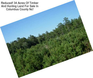 Reduced! 34 Acres Of Timber And Hunting Land For Sale In Columbus County Nc!