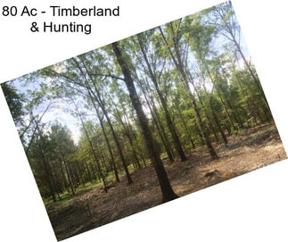 80 Ac - Timberland & Hunting