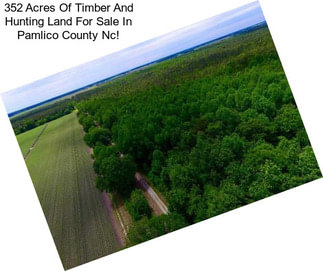 352 Acres Of Timber And Hunting Land For Sale In Pamlico County Nc!