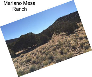 Mariano Mesa Ranch