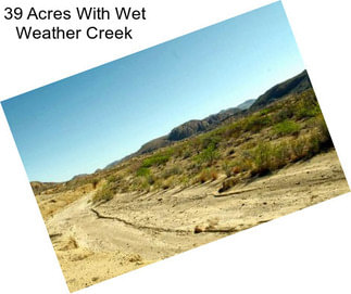 39 Acres With Wet Weather Creek