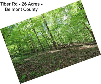 Tiber Rd - 26 Acres - Belmont County