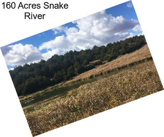 160 Acres Snake River