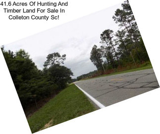 41.6 Acres Of Hunting And Timber Land For Sale In Colleton County Sc!
