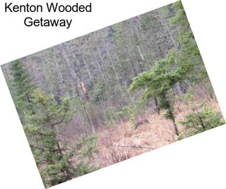 Kenton Wooded Getaway