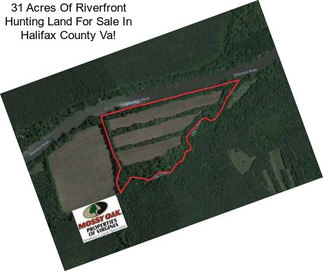31 Acres Of Riverfront Hunting Land For Sale In Halifax County Va!