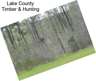 Lake County Timber & Hunting