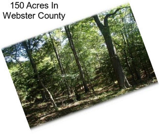 150 Acres In Webster County