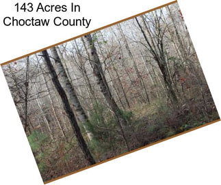 143 Acres In Choctaw County