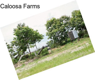 Caloosa Farms