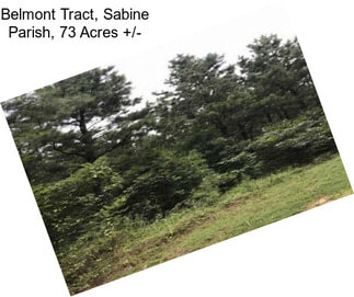Belmont Tract, Sabine Parish, 73 Acres +/-