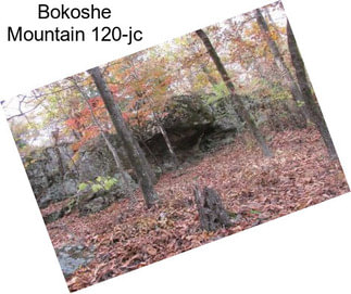 Bokoshe Mountain 120-jc