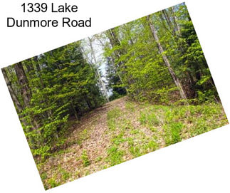 1339 Lake Dunmore Road