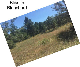 Bliss In Blanchard