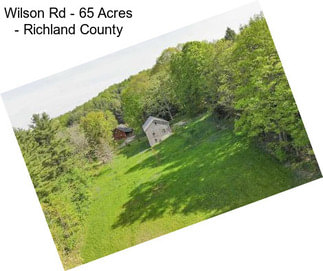 Wilson Rd - 65 Acres - Richland County