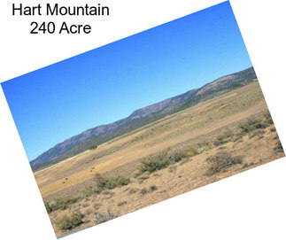 Hart Mountain 240 Acre