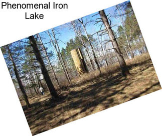 Phenomenal Iron Lake