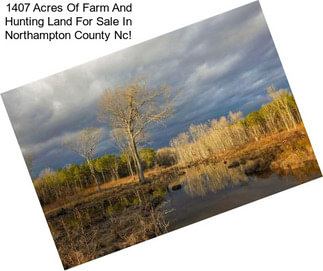 1407 Acres Of Farm And Hunting Land For Sale In Northampton County Nc!