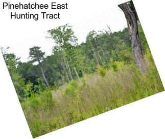 Pinehatchee East Hunting Tract