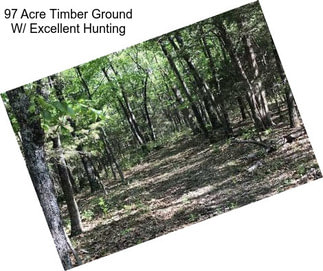 97 Acre Timber Ground W/ Excellent Hunting