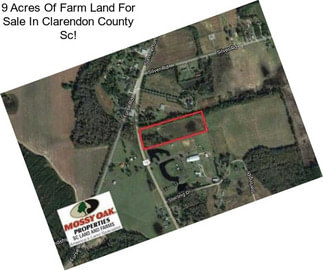 9 Acres Of Farm Land For Sale In Clarendon County Sc!