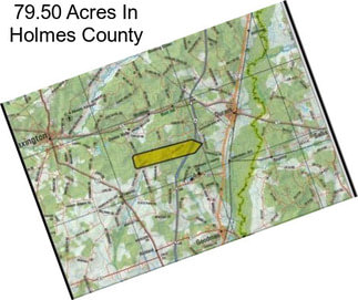 79.50 Acres In Holmes County