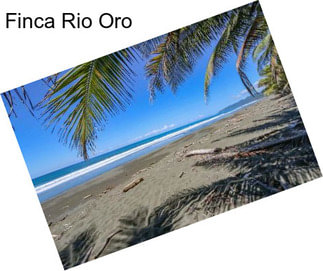 Finca Rio Oro