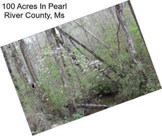 100 Acres In Pearl River County, Ms