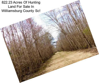 822.23 Acres Of Hunting Land For Sale In Williamsburg County Sc!