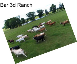 Bar 3d Ranch