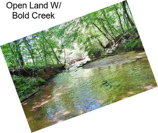 Open Land W/ Bold Creek