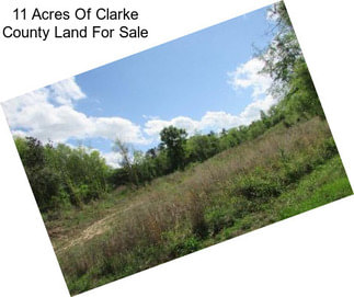 11 Acres Of Clarke County Land For Sale