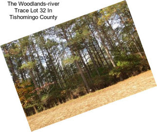 The Woodlands-river Trace Lot 32 In Tishomingo County