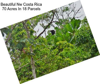 Beautiful Nw Costa Rica 70 Acres In 18 Parcels