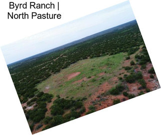Byrd Ranch | North Pasture