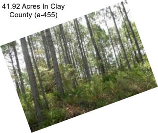 41.92 Acres In Clay County (a-455)